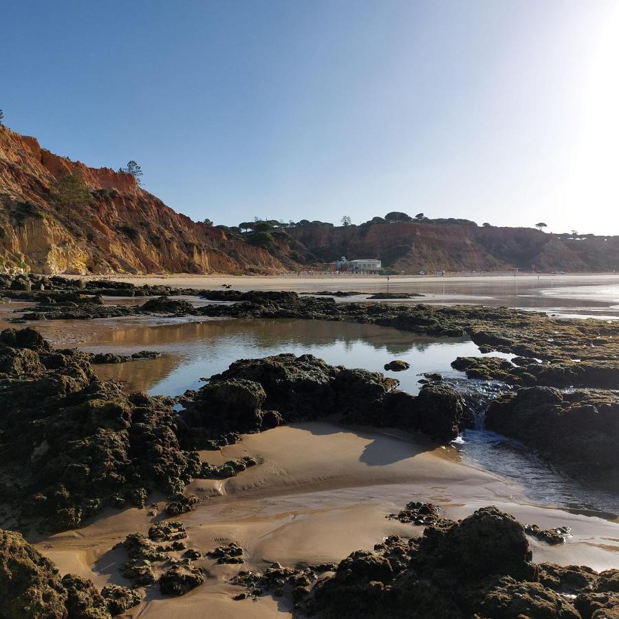 Paradise In Olhos D'Agua Beach Albufeira Extérieur photo